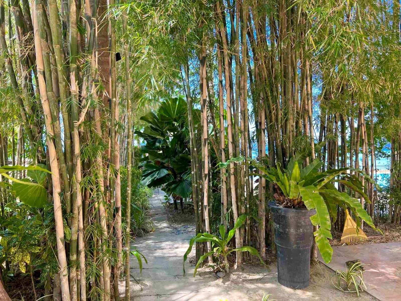 Doublegem Beach Resort And Hotel El Nido Exteriér fotografie
